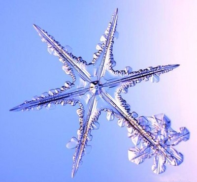 Un flocon de neige sous le microscope
