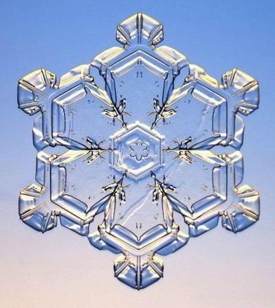 Un flocon de neige sous le microscope