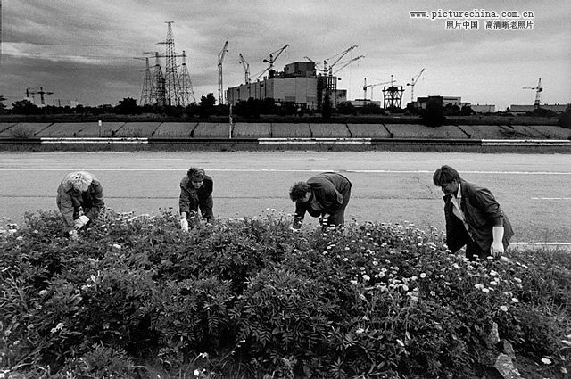 Album photo : les victimes des radiations de la catastrophe de Tchernobyl(2)