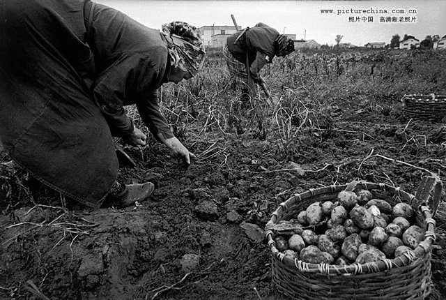 Album photo : les victimes des radiations de la catastrophe de Tchernobyl(3)