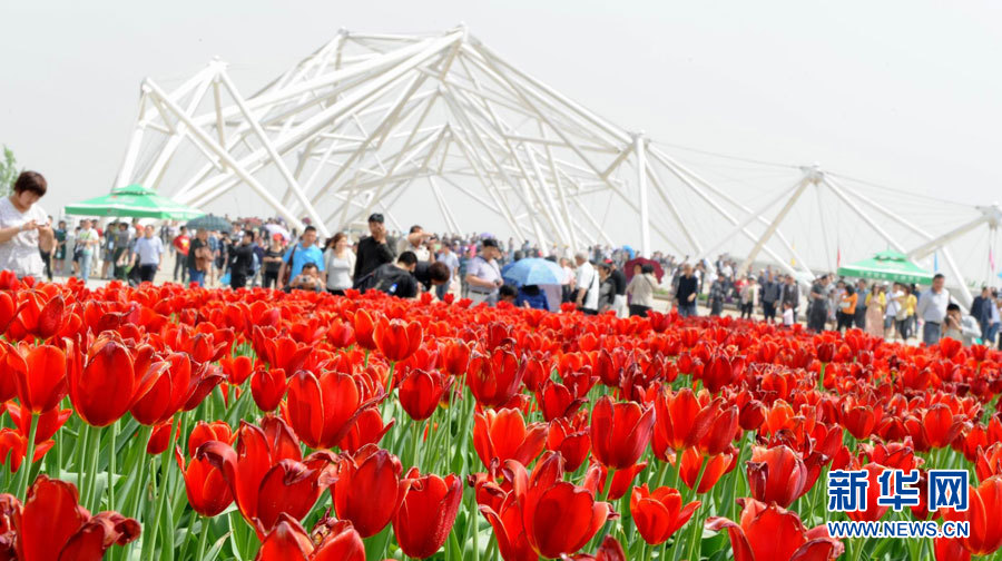 Inauguration de l'Exposition universelle d'horticulture de Xi'an 2011