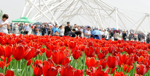 Inauguration de l'Exposition universelle d'horticulture de Xi'an 2011