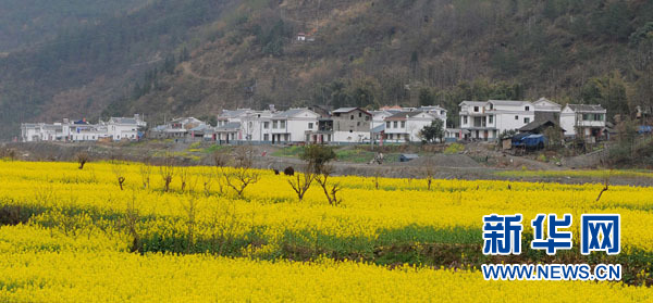 Des habitations du nouveau Beichuan. Photo prise le 21 mars.