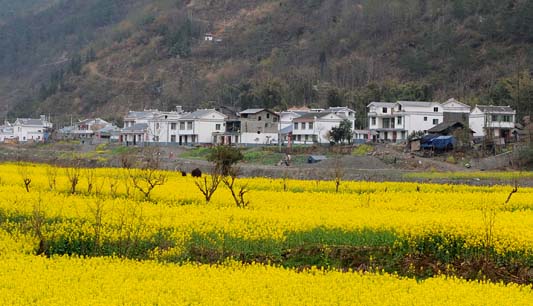 Le nouveau Beichuan reconstruit après le séisme de Wenchuan