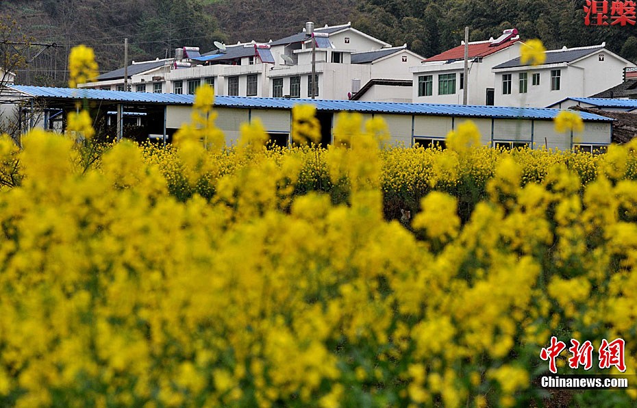 Les nouvelles maisons dans un village de l&apos;ethnie qiang.