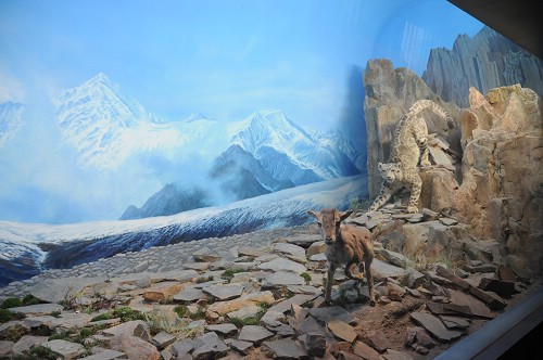 Ouverture du plus grand musée de la nature de Chine