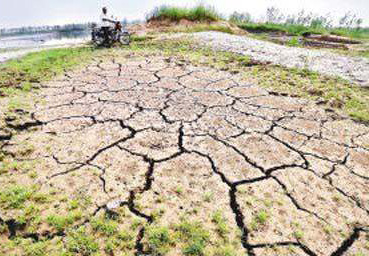 Le centre et le bas Yangtzé touchés par la sécheresse