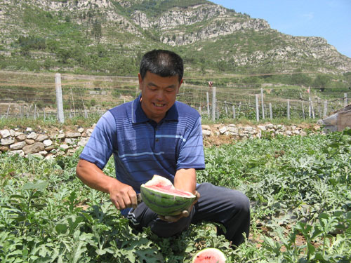 Shandong : les pastèques de Boshan(2)