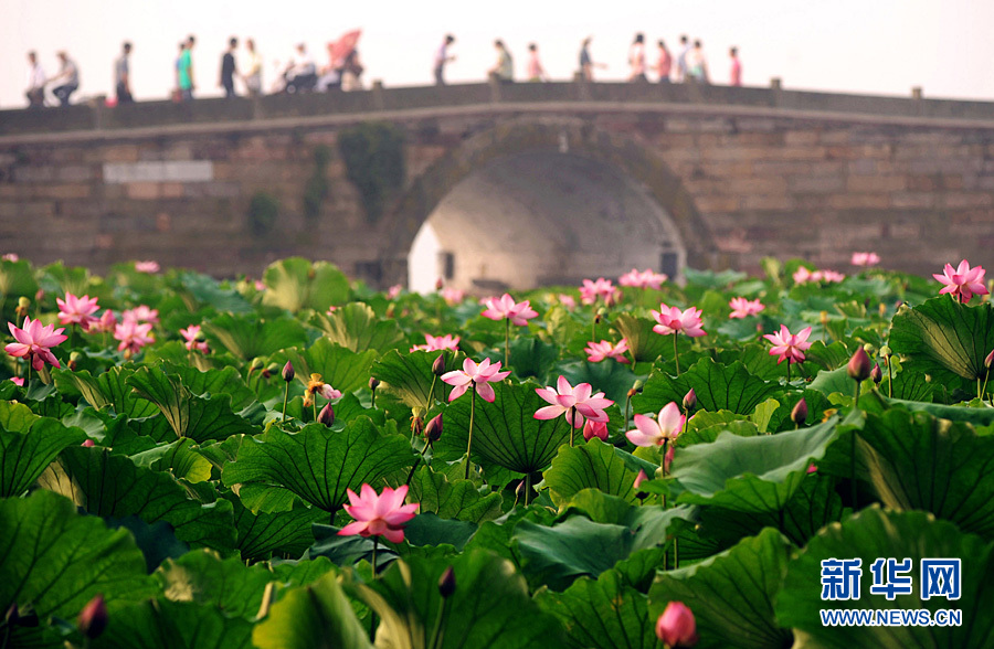 Unesco : le Paysage culturel du lac de l'Ouest de Hangzhou classé patrimoine mondial 8