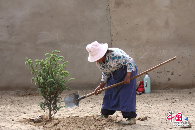 Le 23 juin, une femme plante un arbrisseau dans le village. 