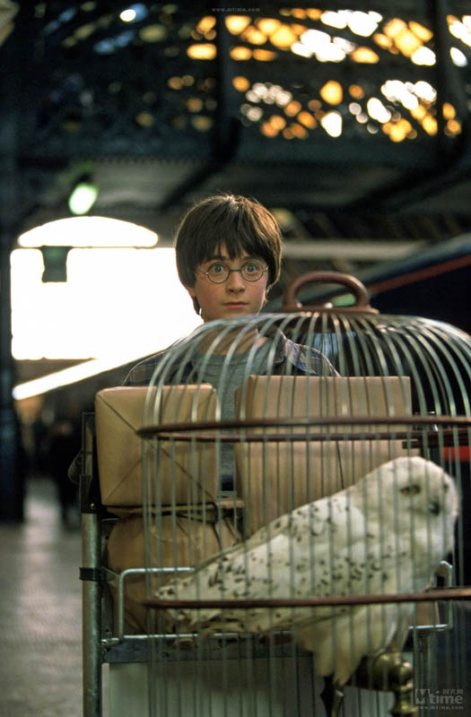 Rétrospective : images des films Harry Potter 2