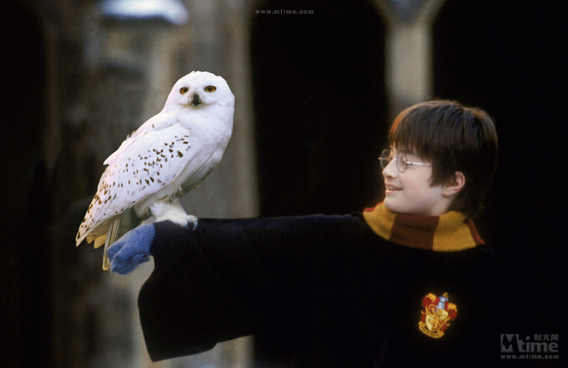  Rétrospective : images des films Harry Potter 31