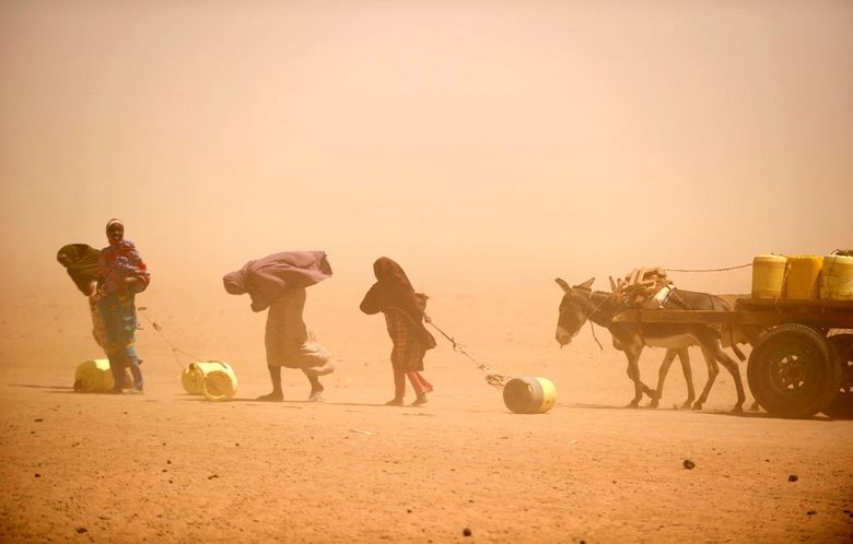 Focus sur la plus grave catastrophe humaine dans l'histoire moderne de l'Afrique 5