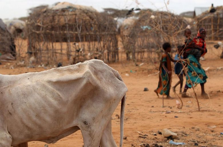 Focus sur la plus grave catastrophe humaine dans l'histoire moderne de l'Afrique 10