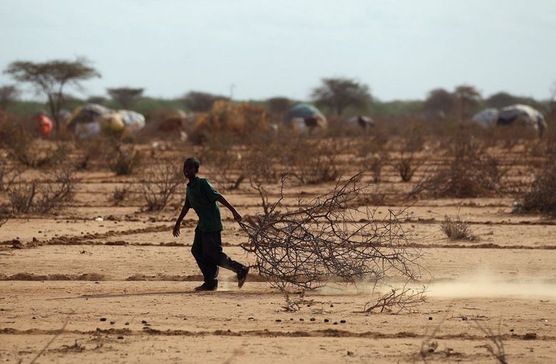 Focus sur la plus grave catastrophe humaine dans l'histoire moderne de l'Afrique 14