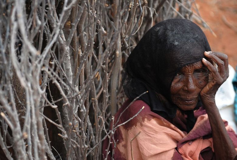 Focus sur la plus grave catastrophe humaine dans l'histoire moderne de l'Afrique 18