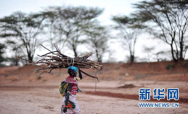 Focus sur la plus grave catastrophe humaine dans l'histoire moderne de l'Afrique 24