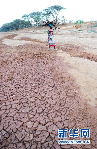 Focus sur la plus grave catastrophe humaine dans l'histoire moderne de l'Afrique 29