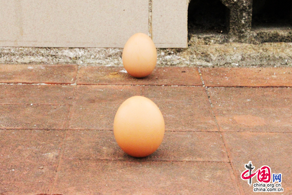 Des œufs peuvent être déposés sur la ligne de l'équateur. 