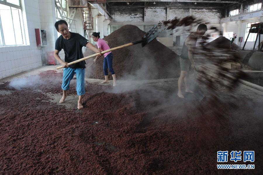 Le 8 octobre, dans le bourg de Maotai dans la province du Guizhou, les ouvriers d'une distillerie, pelle à la main, étendent les sorghos déjà cuits à la vapeur pour les refroidir.