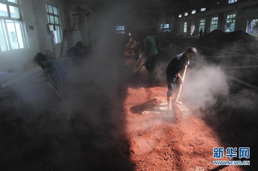 Le 8 octobre, dans le bourg de Maotai dans la province du Guizhou, les ouvriers d'une distillerie, pelle à la main, étendent les sorghos déjà cuits à la vapeur pour les refroidir.