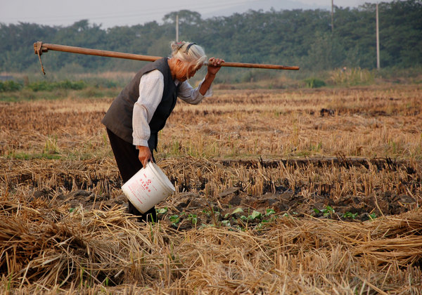 Tao travaille aux champs, le 9 octobre 2011.