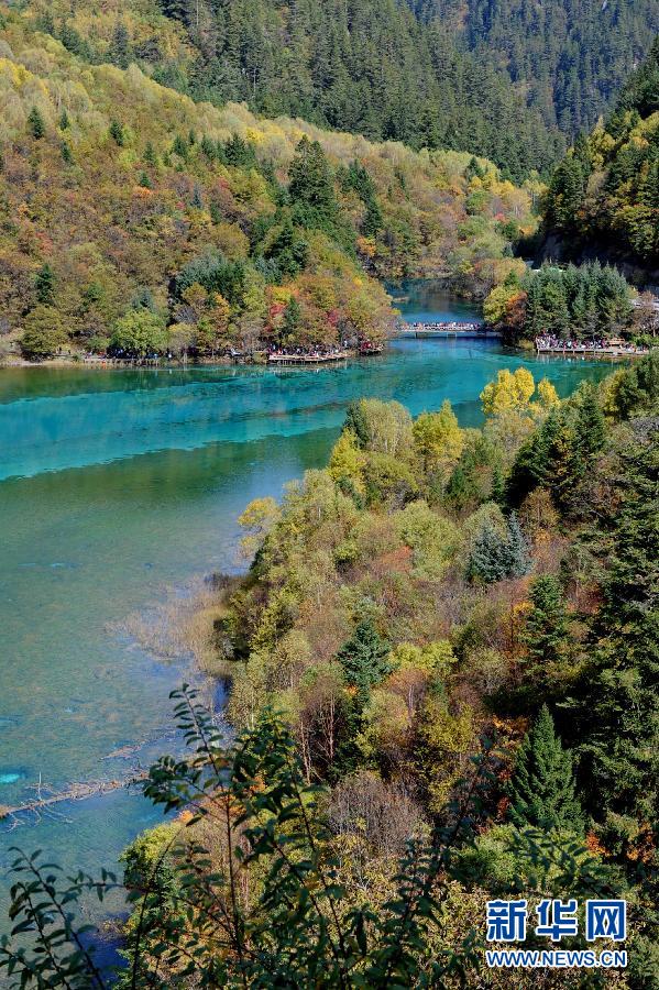 Les couleurs automnales du jardin Wuhua (cinq fleurs) de la zone touristique Jiuzhaigou dans le Sichuan. 