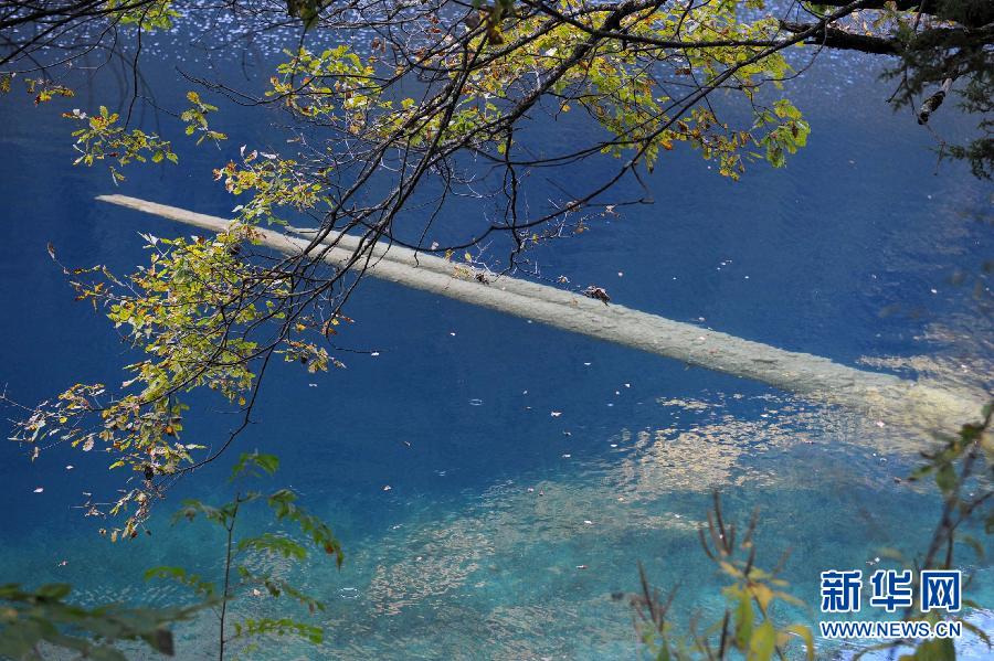 Le paysage multicolore de Jiuzhaigou en automne