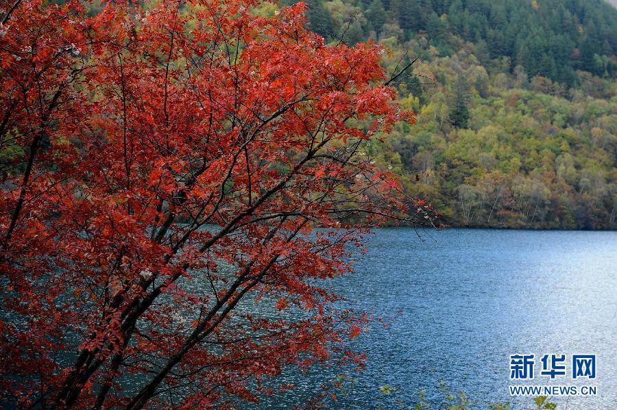 Le paysage multicolore de Jiuzhaigou en automne