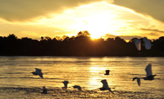 Le crépuscule au fleuve Zambèze