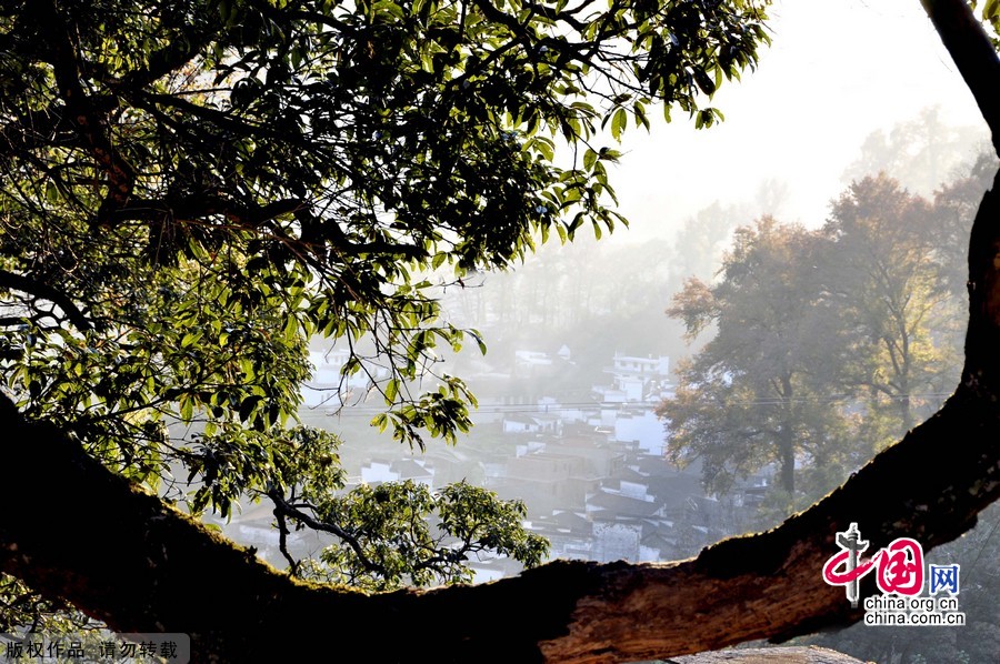 Paysage hivernal féérique au bourg de Changxi à Wuyuan 5