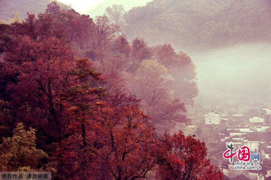 Paysage hivernal féérique au bourg de Changxi à Wuyuan 7