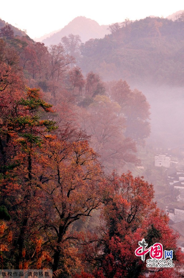 Paysage hivernal féérique au bourg de Changxi à Wuyuan 8