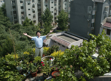 Un homme du nom de Gao présente son jardin sur le toit de son immeuble résidentiel, sur cette photo non datée.