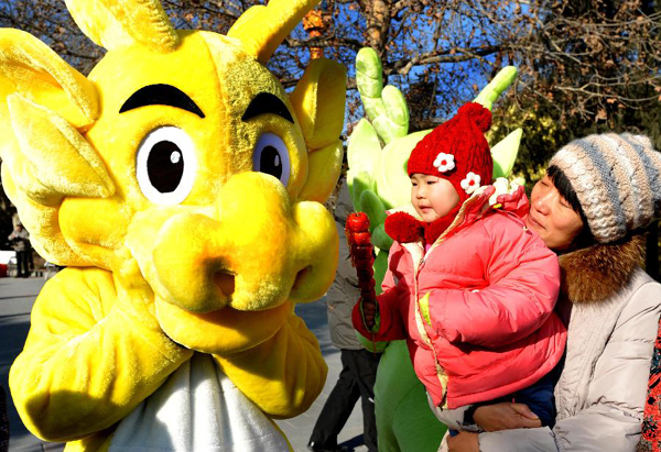 La foire du temple se déroule le 23 janvier au parc de divertissement de Shijingshan à Beijing.