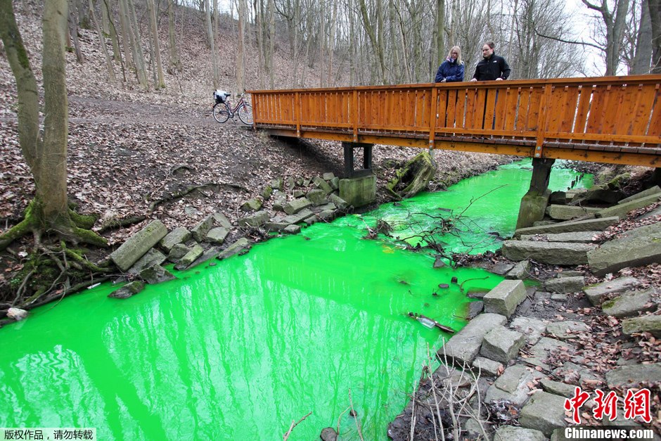 Un cours d'eau contaminé par la pollution chimique en Allemagne