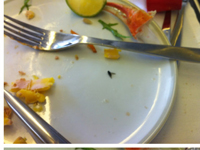 Une mouche retrouvée dans une assiette sur Air France