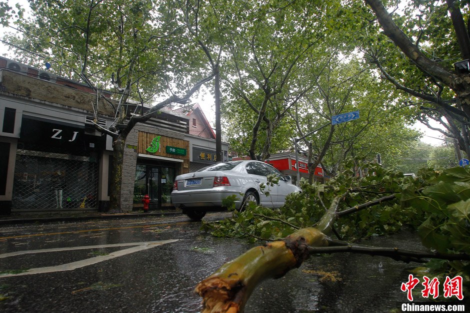 台风“海葵”携十级狂风袭击上海