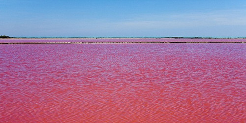 France : le lac rouge en Camargue