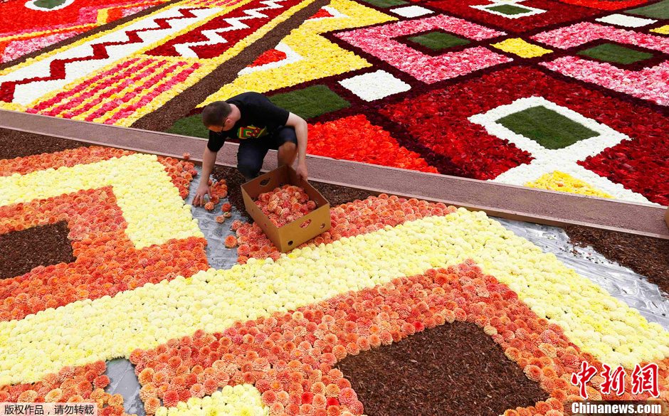 Un tapis de toutes couleurs ! 700 000 jolies fleurs sur la Grand-place de Bruxelles