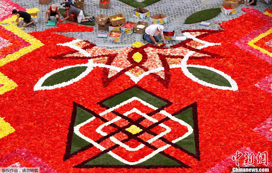 Un tapis de toutes couleurs ! 700 000 jolies fleurs sur la Grand-place de Bruxelles