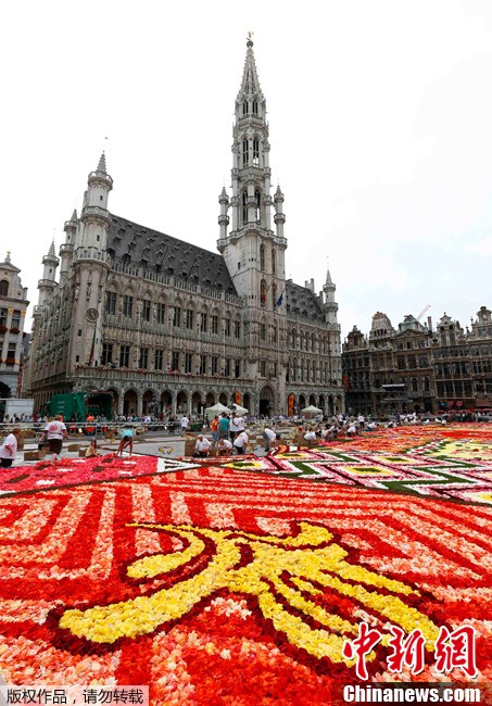 Un tapis de toutes couleurs ! 700 000 jolies fleurs sur la Grand-place de Bruxelles