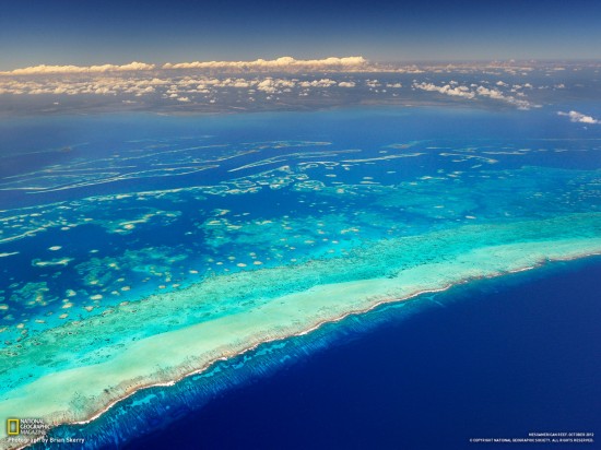 Les meilleures photos d&apos;octobre du National Geographic