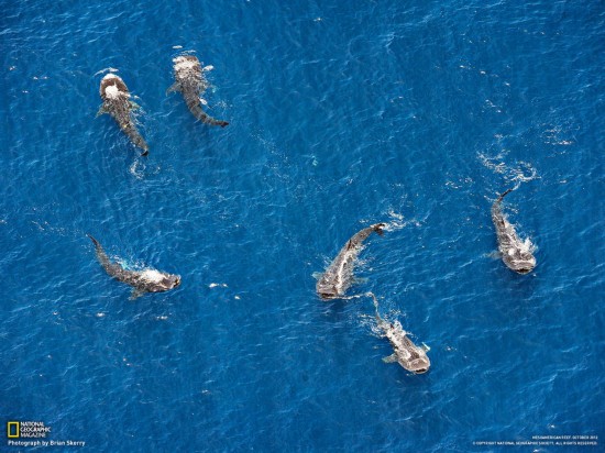 Les meilleures photos d&apos;octobre du National Geographic