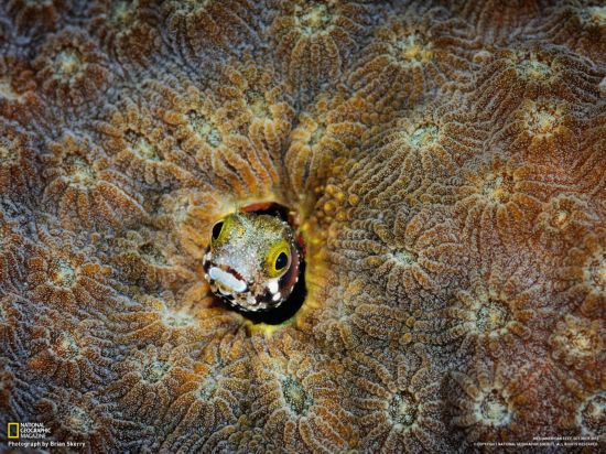 Les meilleures photos d&apos;octobre du National Geographic