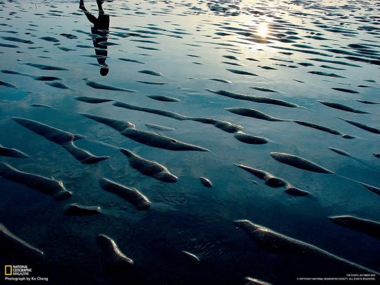 Les meilleures photos d&apos;octobre du National Geographic