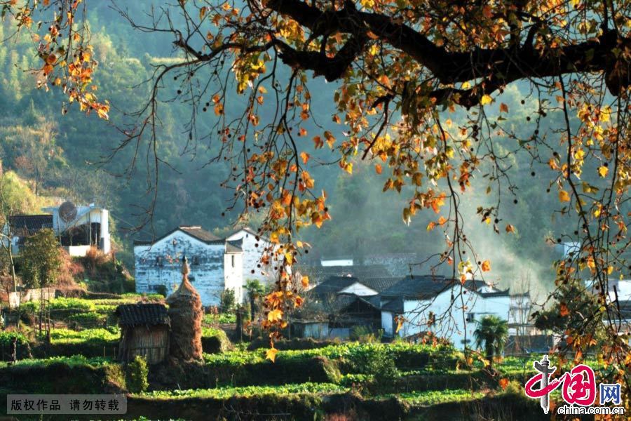 Wuyuan, la destination préférée des photographes en automne