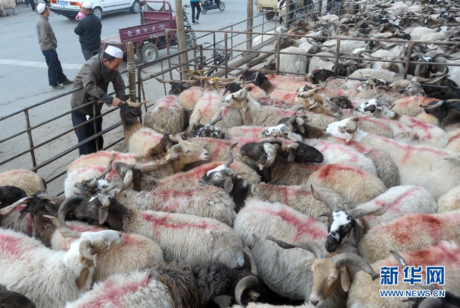 La fête d'Al-Qurban célébrée en Chine par les musulmans