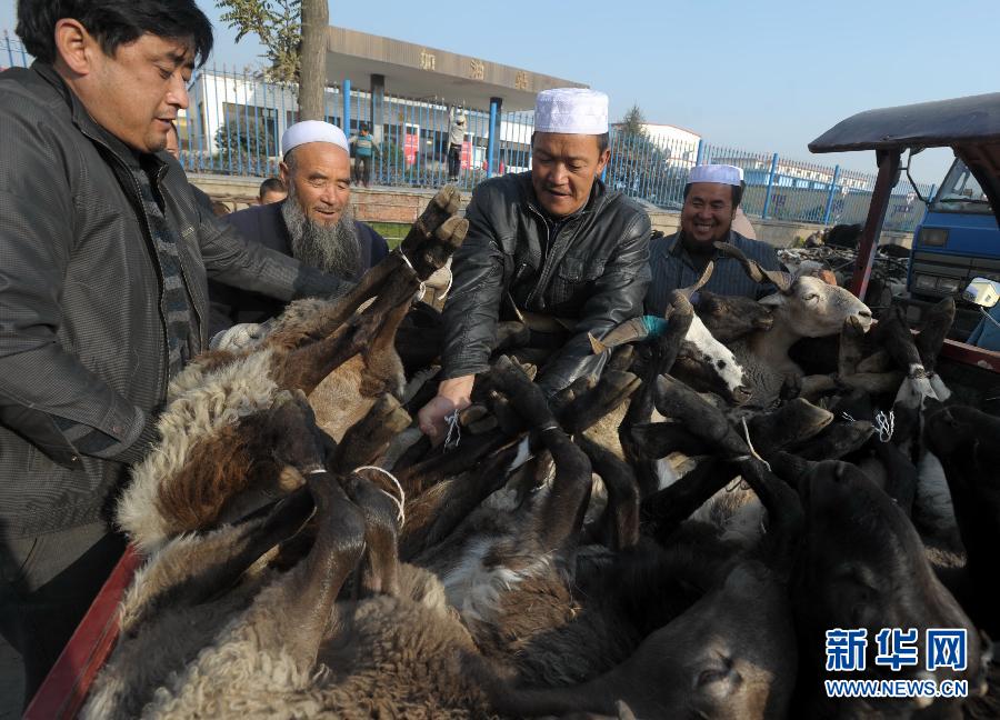 La fête d'Al-Qurban célébrée en Chine par les musulmans