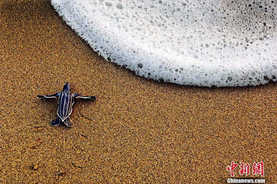 Photos du National Geographic : le visage de la Terre